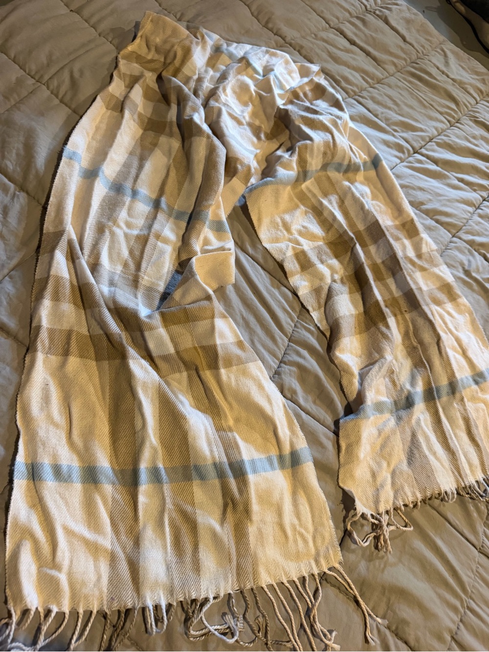 Light Beige and Blue Striped Women's Scarf